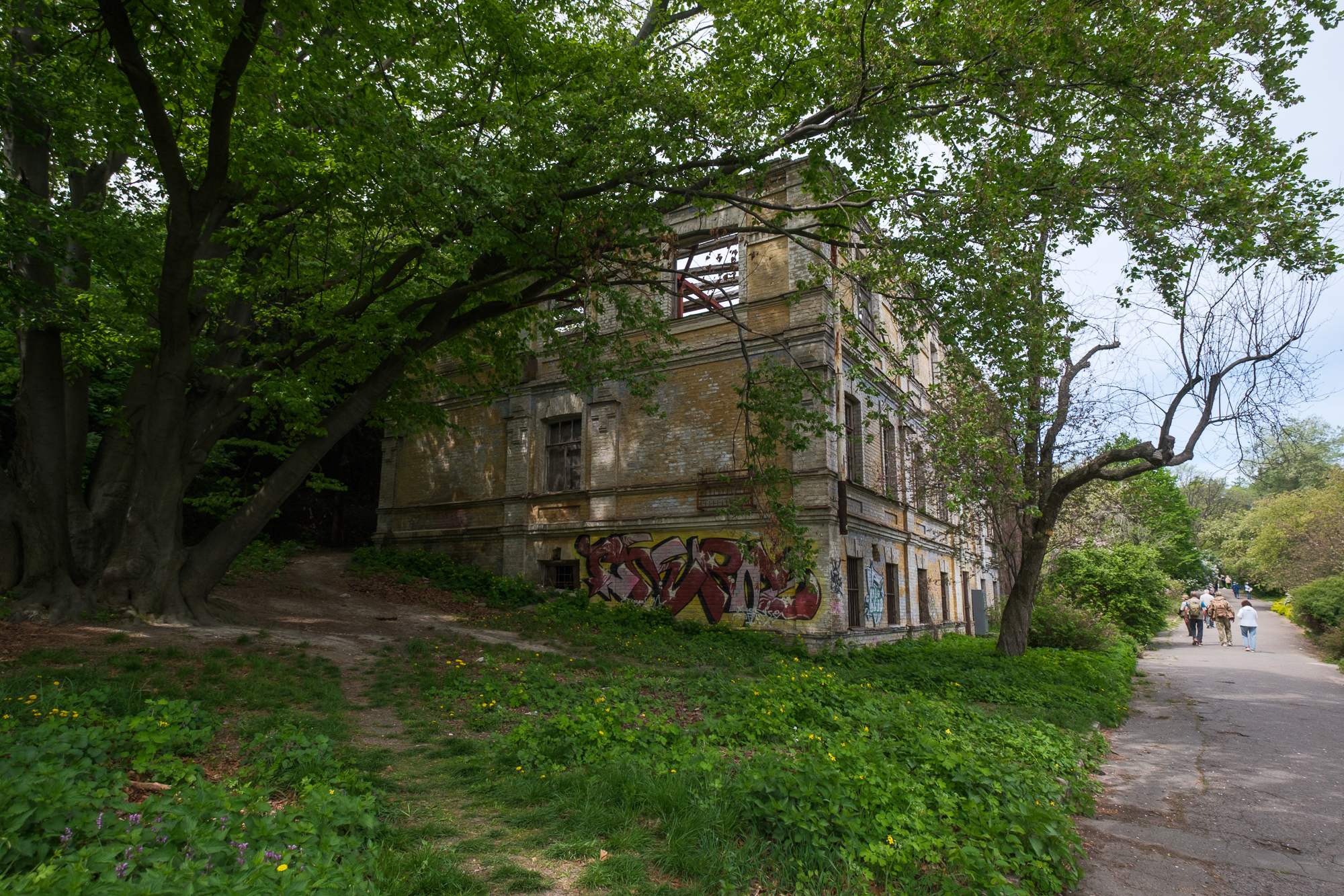 Ботсад ім. Гришка під загрозою? Керівництво відповіло, чи дійсно зелену зону забудують